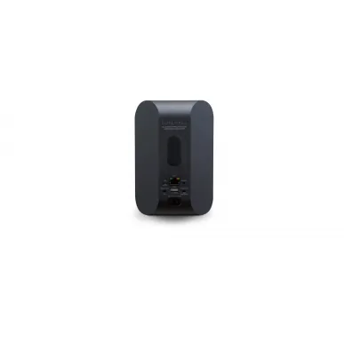 Умная колонка Bluesound PULSE FLEX 2i, black